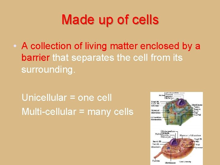 Made up of cells • A collection of living matter enclosed by a barrier