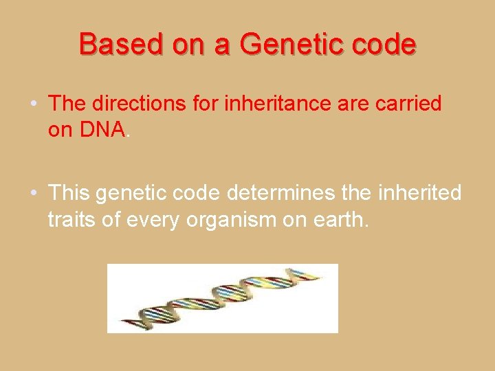 Based on a Genetic code • The directions for inheritance are carried on DNA.