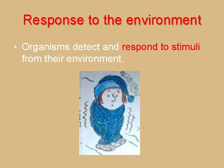 Response to the environment • Organisms detect and respond to stimuli from their environment.