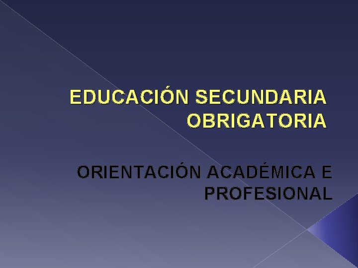 EDUCACIÓN SECUNDARIA OBRIGATORIA ORIENTACIÓN ACADÉMICA E PROFESIONAL 