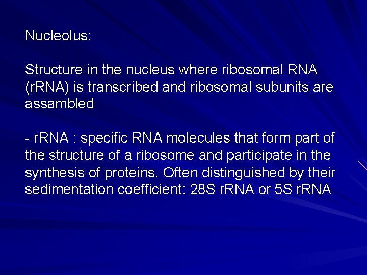 Nucleolus: Structure in the nucleus where ribosomal RNA (r. RNA) is transcribed and ribosomal