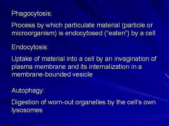 Phagocytosis: Process by which particulate material (particle or microorganism) is endocytosed (“eaten”) by a