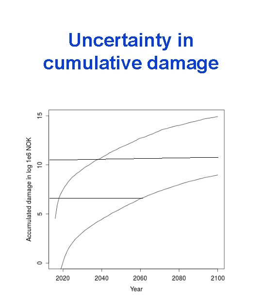 Uncertainty in cumulative damage 