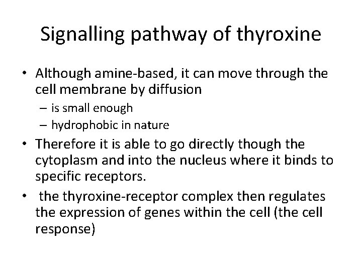 Signalling pathway of thyroxine • Although amine-based, it can move through the cell membrane