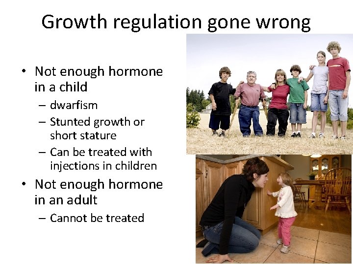 Growth regulation gone wrong • Not enough hormone in a child – dwarfism –