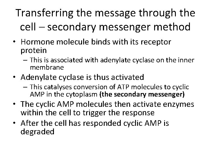Transferring the message through the cell – secondary messenger method • Hormone molecule binds