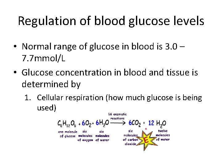 Regulation of blood glucose levels • Normal range of glucose in blood is 3.
