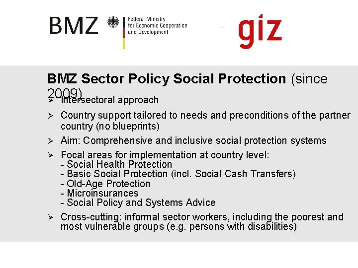 BMZ Sector Policy Social Protection (since 2009) Ø Intersectoral approach Country support tailored to