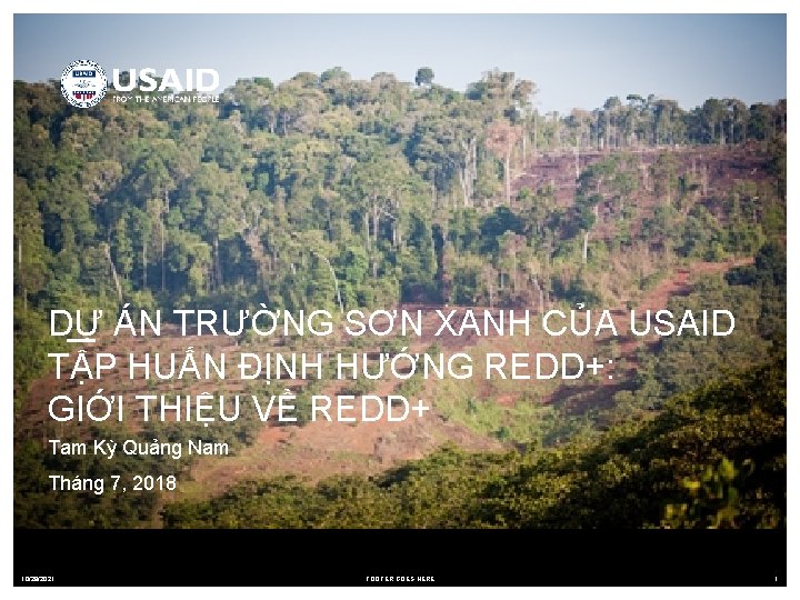 DỰ ÁN TRƯỜNG SƠN XANH CỦA USAID TẬP HUẤN ĐỊNH HƯỚNG REDD+: GIỚI THIỆU