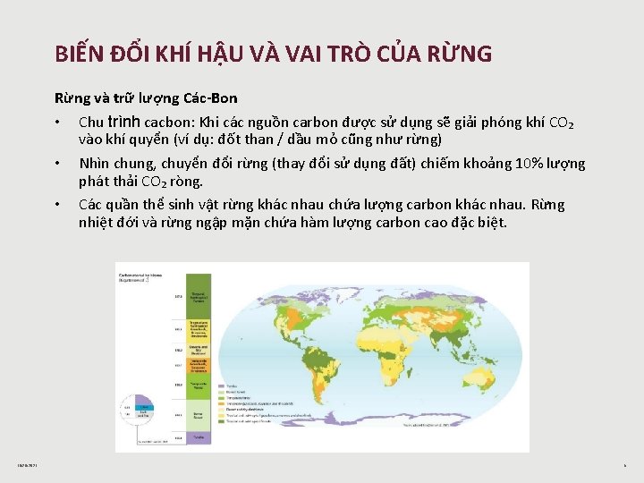 BIẾN ĐỔI KHÍ HẬU VÀ VAI TRÒ CỦA RỪNG Rừng và trữ lượng Các-Bon