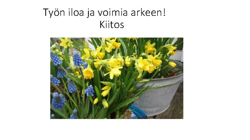 Työn iloa ja voimia arkeen! Kiitos 