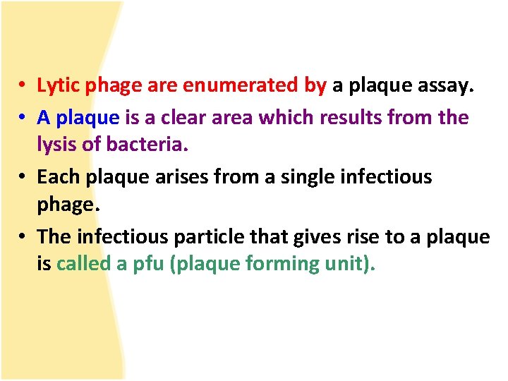  • Lytic phage are enumerated by a plaque assay. • A plaque is