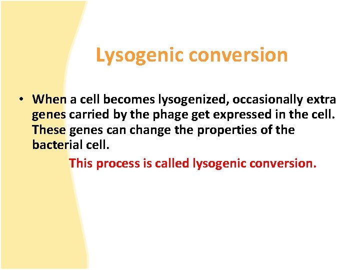 Lysogenic conversion • When a cell becomes lysogenized, occasionally extra genes carried by the