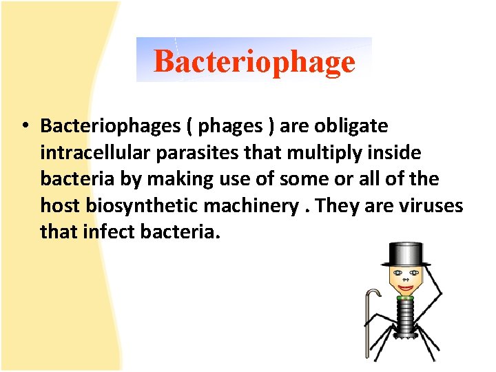 Bacteriophage • Bacteriophages ( phages ) are obligate intracellular parasites that multiply inside bacteria