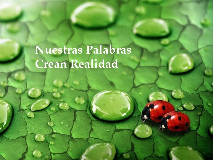 Nuestras Palabras Crean Realidad 