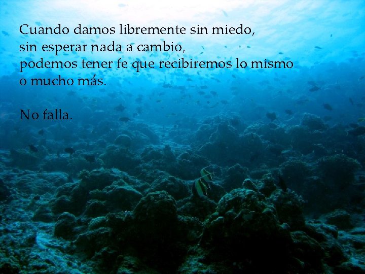 Cuando damos libremente sin miedo, sin esperar nada a cambio, podemos tener fe que