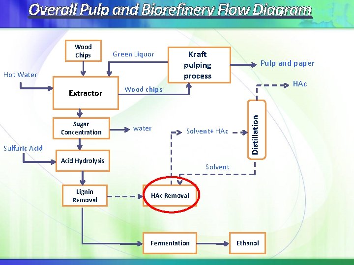 Overall Pulp and Biorefinery Flow Diagram Green Liquor Hot Water Extractor Sugar Concentration Kraft Overall Pulp and Biorefinery Flow Diagram Green Liquor Hot Water Extractor Sugar Concentration Kraft