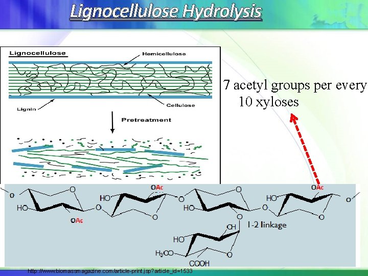 Lignocellulose Hydrolysis 7 acetyl groups per every 10 xyloses USDA Agricultural Research Service http: Lignocellulose Hydrolysis 7 acetyl groups per every 10 xyloses USDA Agricultural Research Service http: