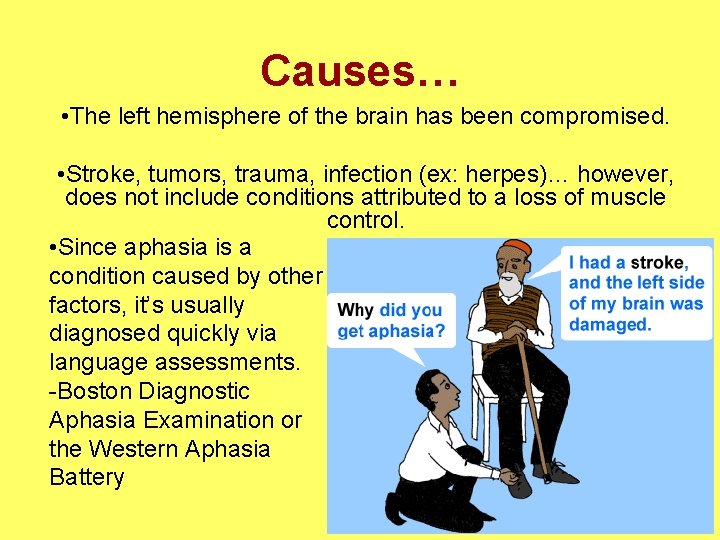 Causes… • The left hemisphere of the brain has been compromised. • Stroke, tumors,