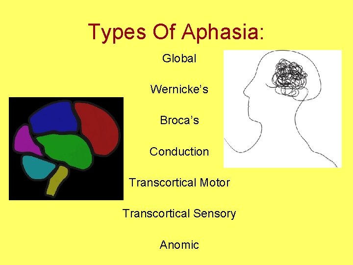 Types Of Aphasia: Global Wernicke’s Broca’s Conduction Transcortical Motor Transcortical Sensory Anomic 