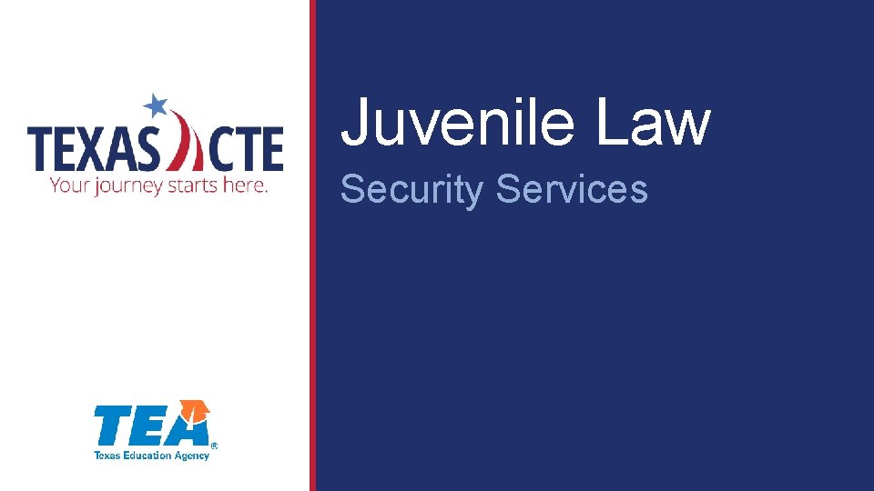 Juvenile Law Security Services 