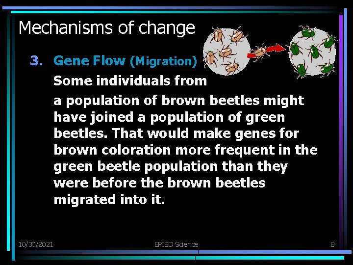Mechanisms of change 3. Gene Flow (Migration) Some individuals from a population of brown