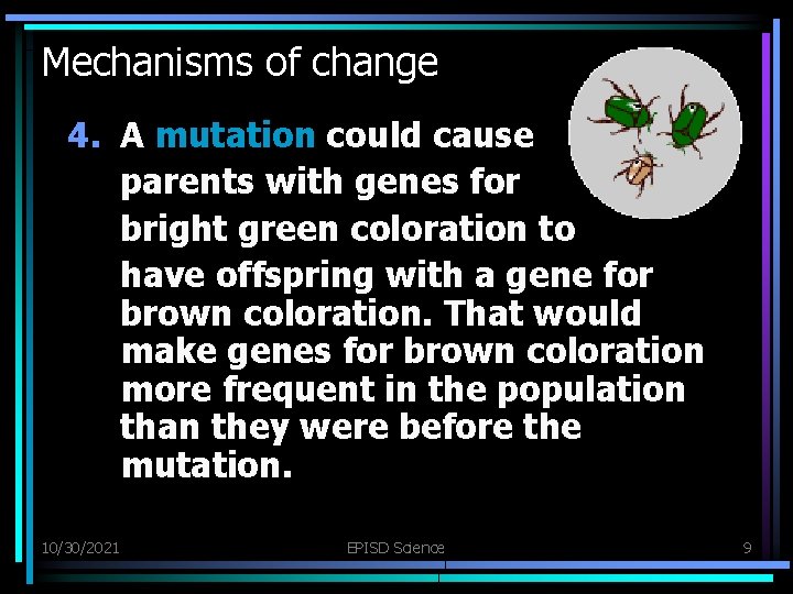 Mechanisms of change 4. A mutation could cause parents with genes for bright green