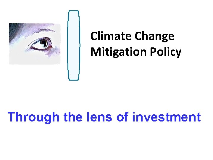 Climate Change Mitigation Policy Through the lens of investment 