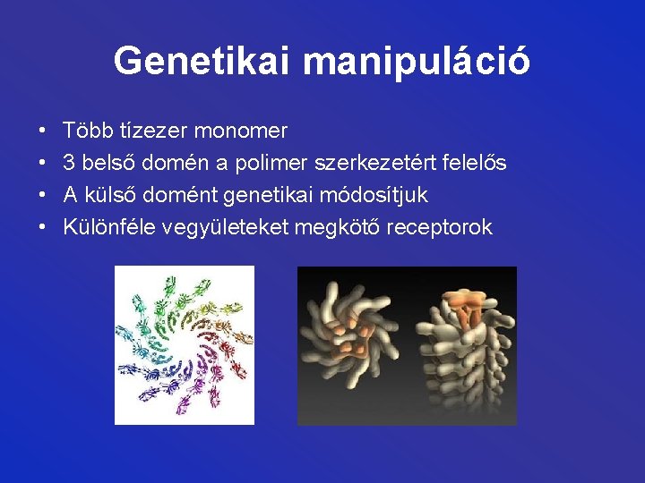 Genetikai manipuláció • • Több tízezer monomer 3 belső domén a polimer szerkezetért felelős