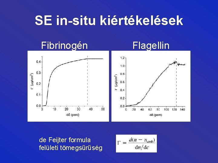SE in-situ kiértékelések Fibrinogén de Feijter formula felületi tömegsűrűség Flagellin 