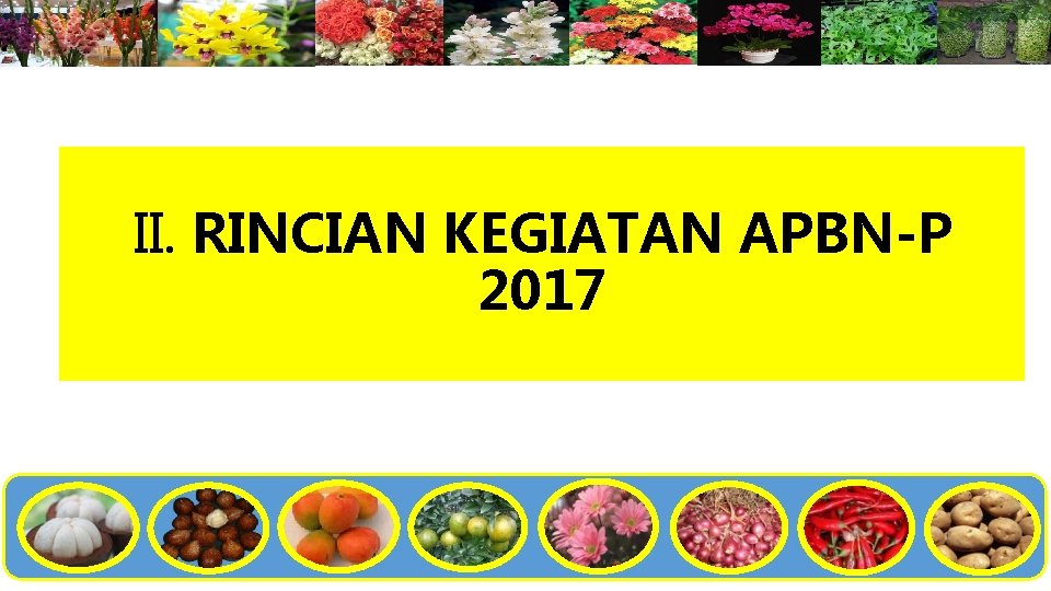 STRATEGI PERBENIHAN HORTIKULTURA MELALUI APBNP TAHUN 2017 Oleh