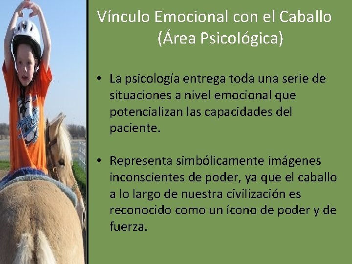 Vínculo Emocional con el Caballo (Área Psicológica) • La psicología entrega toda una serie