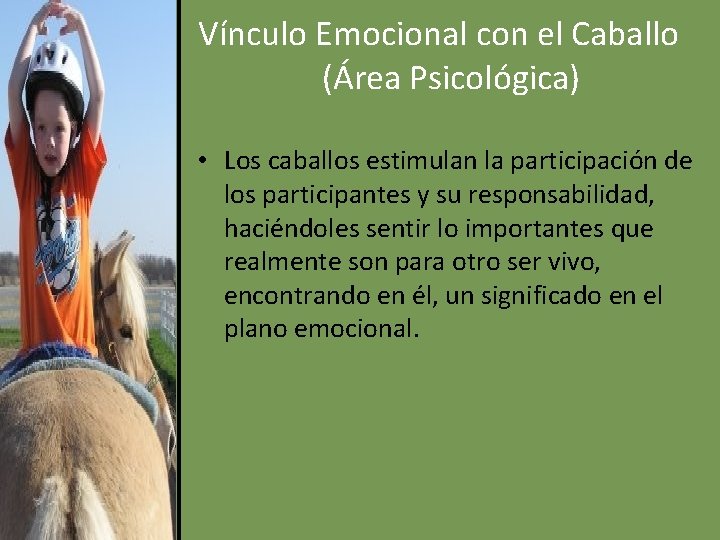 Vínculo Emocional con el Caballo (Área Psicológica) • Los caballos estimulan la participación de