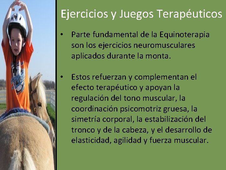 Ejercicios y Juegos Terapéuticos • Parte fundamental de la Equinoterapia son los ejercicios neuromusculares