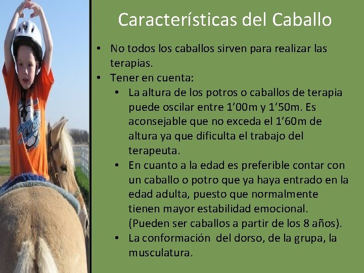 Características del Caballo • No todos los caballos sirven para realizar las terapias. •