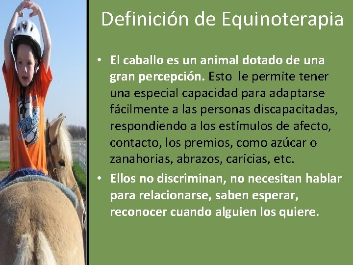 Definición de Equinoterapia • El caballo es un animal dotado de una gran percepción.