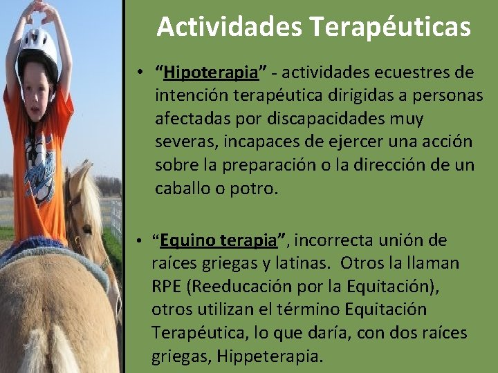 Actividades Terapéuticas • “Hipoterapia” - actividades ecuestres de intención terapéutica dirigidas a personas afectadas