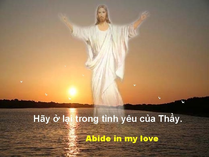 Hãy ở lại trong tình yêu của Thầy. Abide in my love 