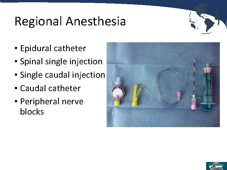Regional Anesthesia • Epidural catheter • Spinal single injection • Single caudal injection •