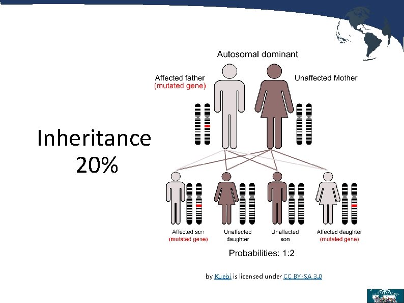 Inheritance 20% by Kuebi is licensed under CC BY-SA 3. 0 5 