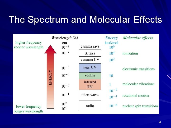 The Spectrum and Molecular Effects => 5 
