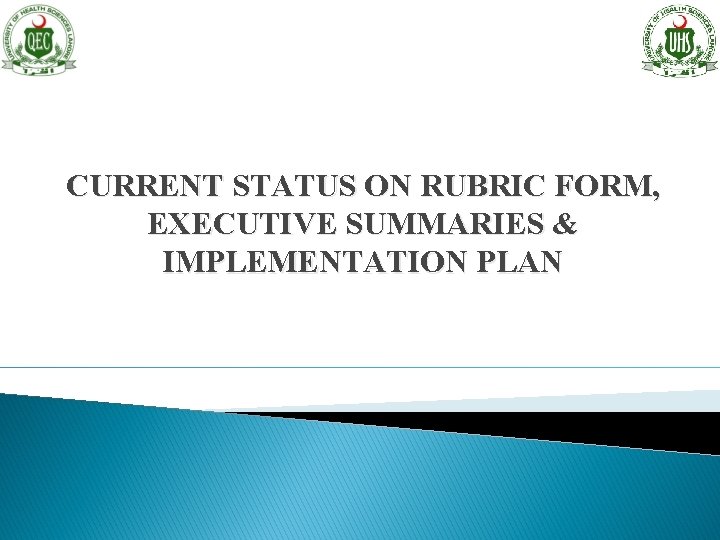 CURRENT STATUS ON RUBRIC FORM, EXECUTIVE SUMMARIES & IMPLEMENTATION PLAN 