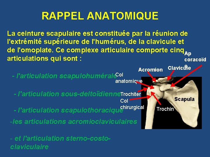 RAPPEL ANATOMIQUE La ceinture scapulaire est constituée par la réunion de l'extrémité supérieure de