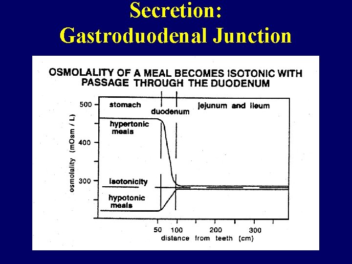 Secretion: Gastroduodenal Junction 