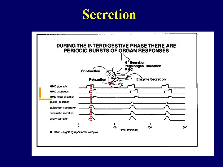 Secretion 