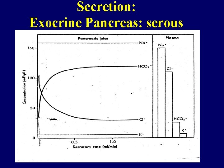 Secretion: Exocrine Pancreas: serous 