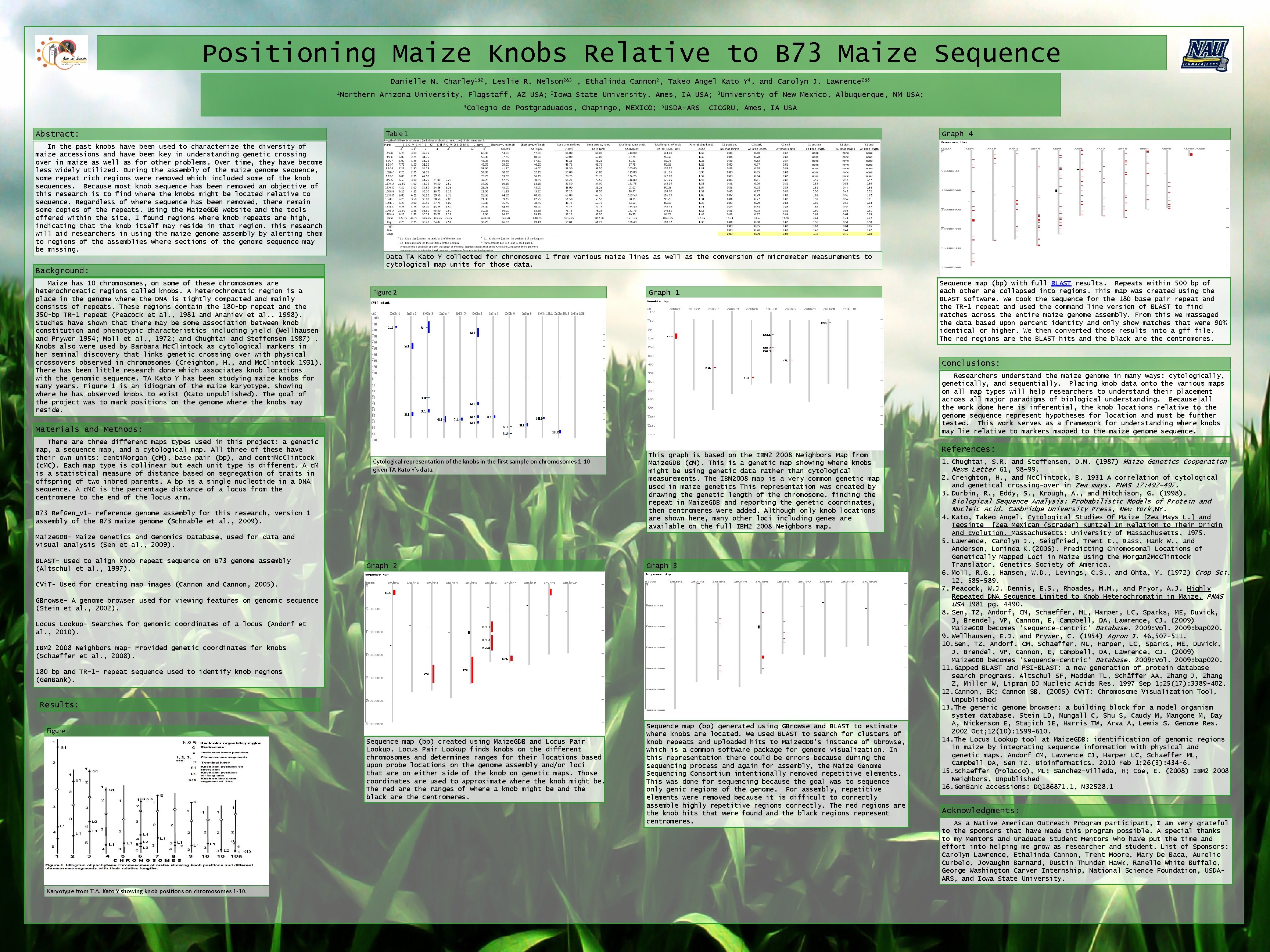 Positioning Maize Knobs Relative to B 73 Maize Sequence Danielle N. Charley 1&2, Leslie