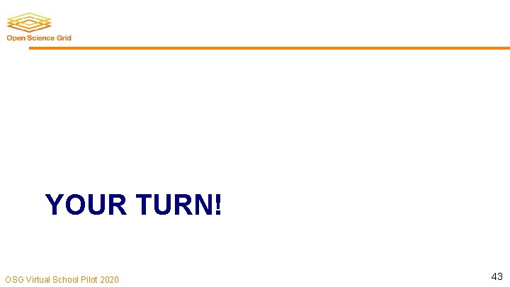 YOUR TURN! OSG Virtual School Pilot 2020 43 