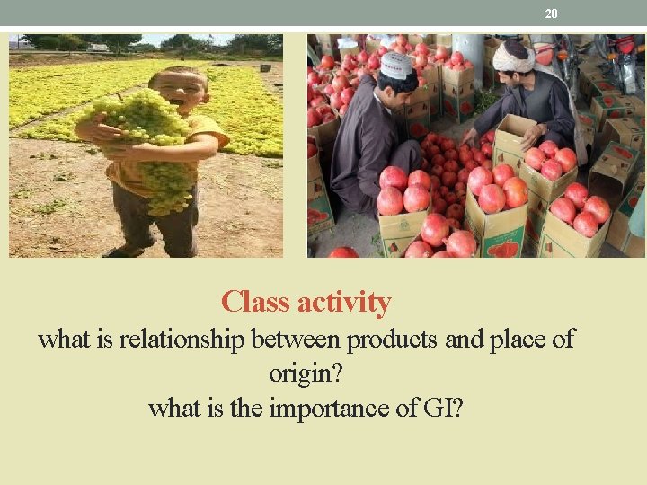 20 Class activity what is relationship between products and place of origin? what is