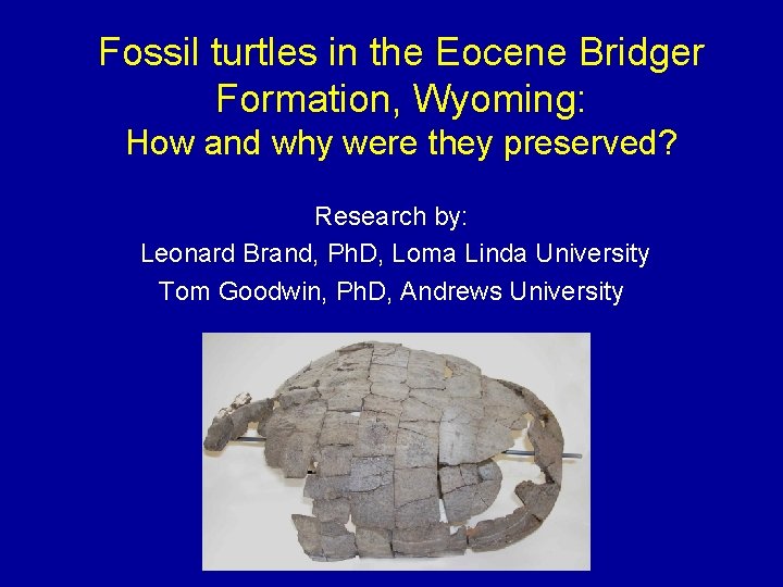Fossil turtles in the Eocene Bridger Formation, Wyoming: How and why were they preserved?